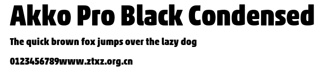 Akko Pro Black Condensed.ttf