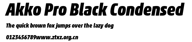 Akko Pro Black Condensed.ttf