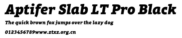 Aptifer Slab LT Pro Black.ttf