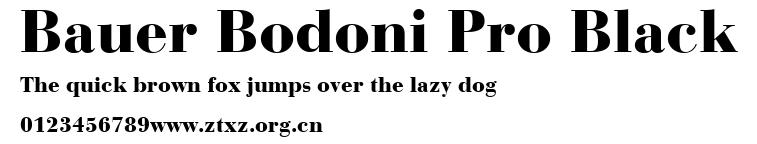 Bauer Bodoni Pro Black.ttf