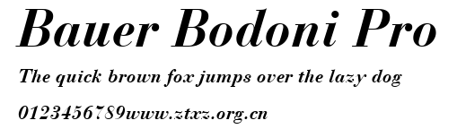 Bauer Bodoni Pro.ttf