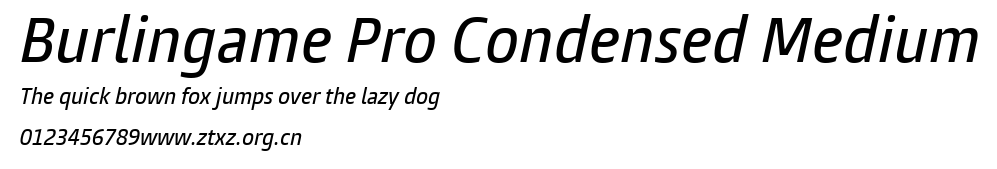 Burlingame Pro Condensed Medium.ttf