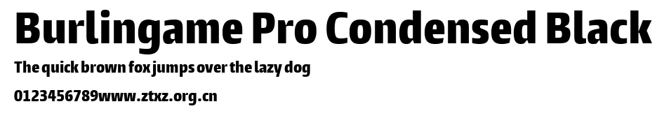 Burlingame Pro Condensed Black.ttf