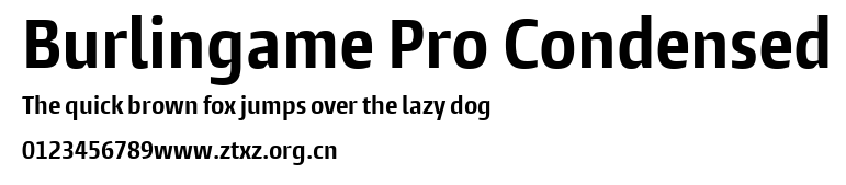 Burlingame Pro Condensed.ttf