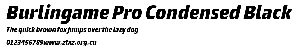 Burlingame Pro Condensed Black.ttf