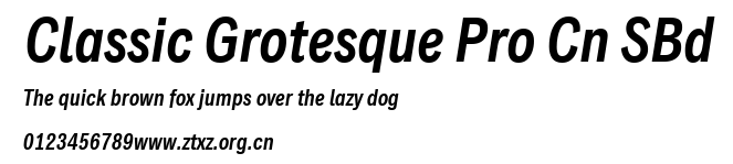 Classic Grotesque Pro Cn SBd.ttf