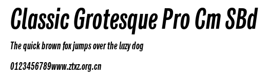 Classic Grotesque Pro Cm SBd.ttf