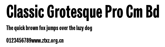 Classic Grotesque Pro Cm Bd.ttf