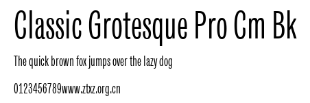 Classic Grotesque Pro Cm Bk.ttf