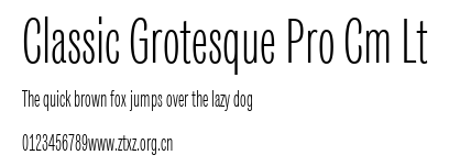 Classic Grotesque Pro Cm Lt.ttf