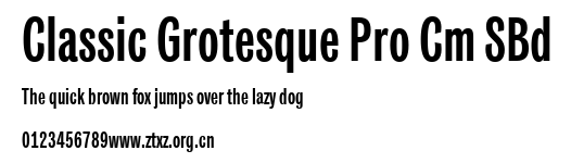 Classic Grotesque Pro Cm SBd.ttf