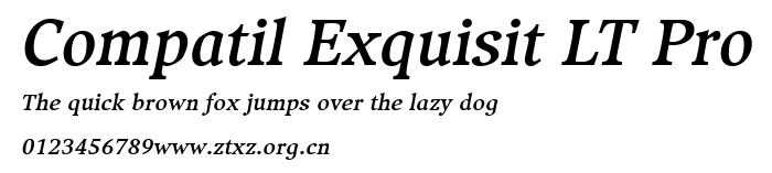 Compatil Exquisit LT Pro.ttf