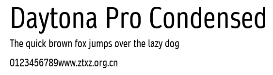 Daytona Pro Condensed.ttf