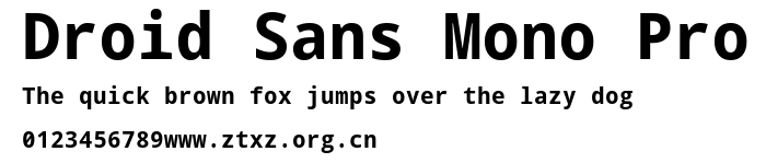 Droid Sans Mono Pro.ttf