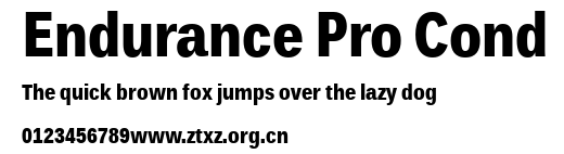 Endurance Pro Cond.ttf