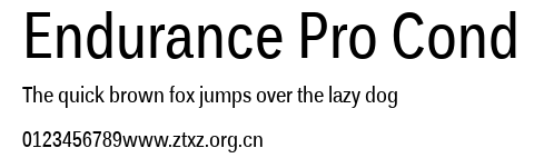 Endurance Pro Cond.ttf