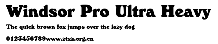 Windsor Pro Ultra Heavy.ttf