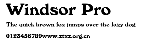 Windsor Pro.ttf