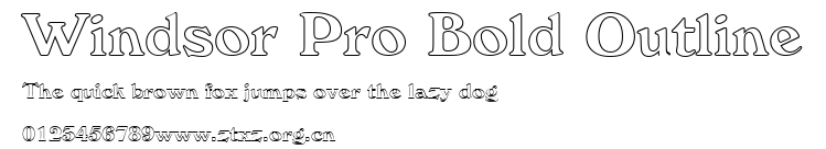 Windsor Pro Bold Outline.ttf