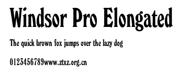 Windsor Pro Elongated.ttf