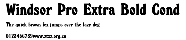 Windsor Pro Extra Bold Cond.ttf