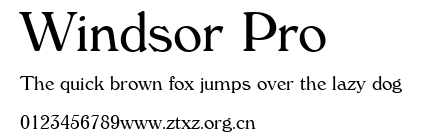 Windsor Pro.ttf