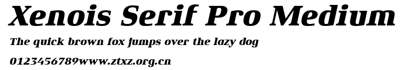 Xenois Serif Pro Medium.ttf
