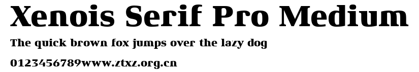 Xenois Serif Pro Medium.ttf