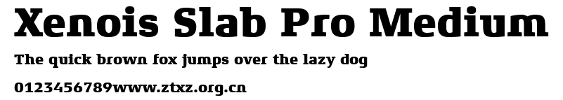 Xenois Slab Pro Medium.ttf