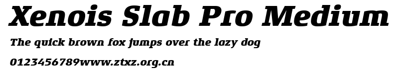 Xenois Slab Pro Medium.ttf