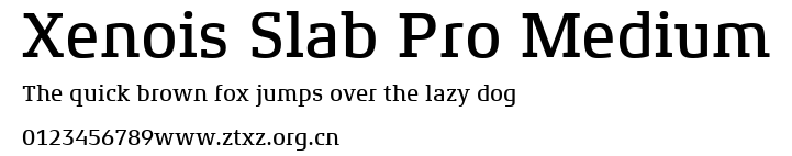 Xenois Slab Pro Medium.ttf