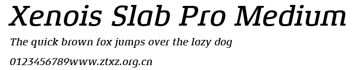 Xenois Slab Pro Medium.ttf