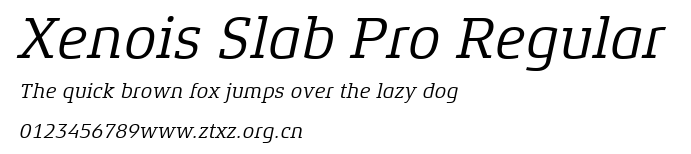 Xenois Slab Pro Regular.ttf