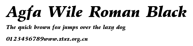 Agfa Wile Roman Black.ttf