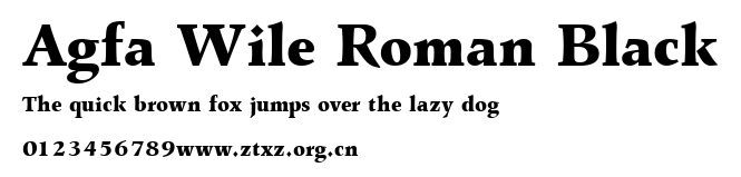 Agfa Wile Roman Black.ttf
