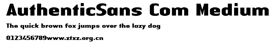 AuthenticSans Com Medium.ttf