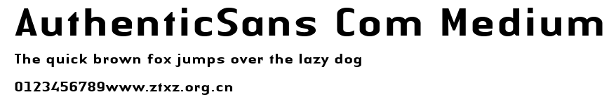 AuthenticSans Com Medium.ttf