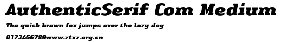 AuthenticSerif Com Medium.ttf