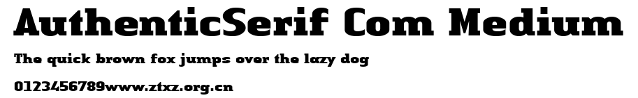 AuthenticSerif Com Medium.ttf
