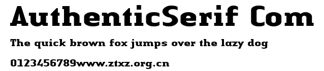 AuthenticSerif Com.ttf