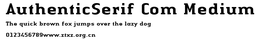 AuthenticSerif Com Medium.ttf