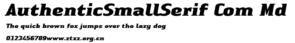 AuthenticSmallSerif Com Md.ttf