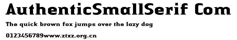 AuthenticSmallSerif Com.ttf