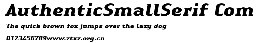 AuthenticSmallSerif Com.ttf