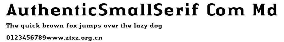AuthenticSmallSerif Com Md.ttf