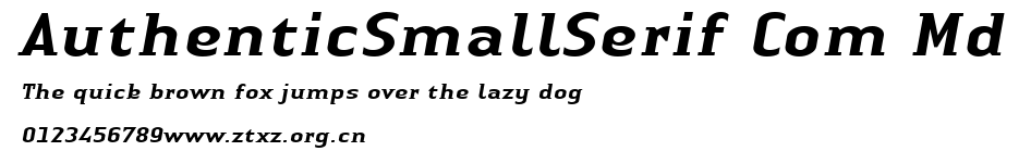 AuthenticSmallSerif Com Md.ttf