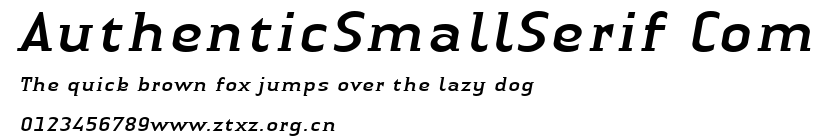 AuthenticSmallSerif Com.ttf