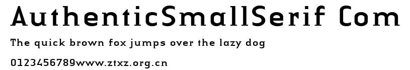 AuthenticSmallSerif Com.ttf
