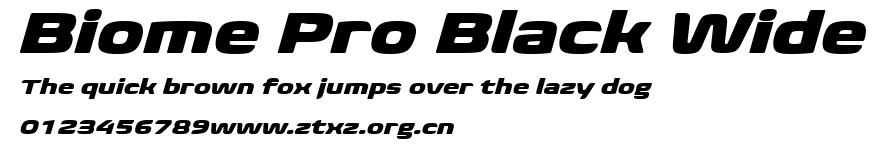 Biome Pro Black Wide.ttf