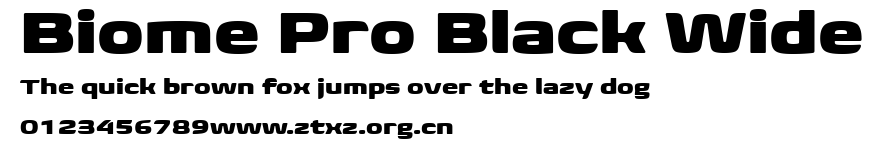 Biome Pro Black Wide.ttf